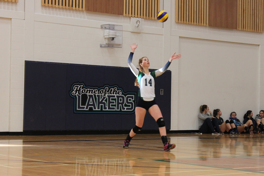 Local rivals team up as recruits with Lakers men's volleyball - North Bay  News
